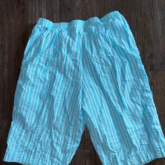 Appleseeds XL top and 14 petite Bermuda shorts matching set - Picture 8 of 8